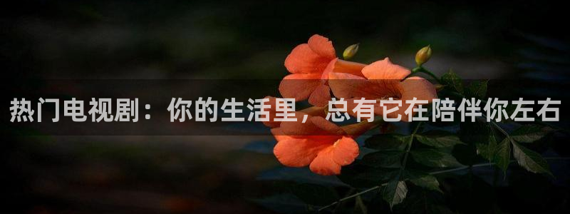 驰策影视电视剧：热门电视剧：你的生活里，总有它在陪伴你左右
