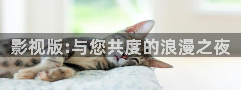 驰策驰影院红桃国际：影视版:与您共度的浪漫之夜