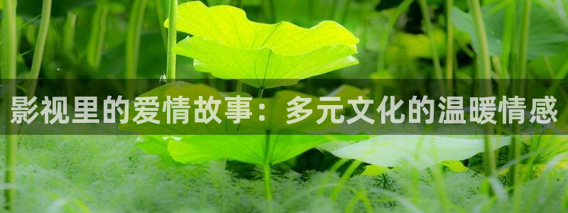 驰策驰影院 电视剧免费：影视里的爱情故事：多元文化的温暖情感